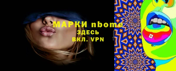индика Богородск