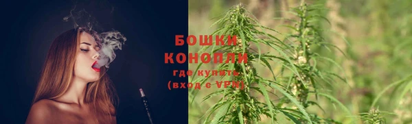 apvp Богданович