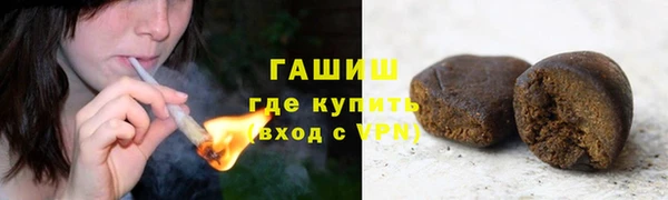 индика Богородск