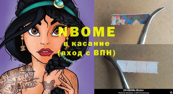 индика Богородск