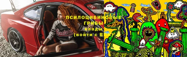 индика Богородск