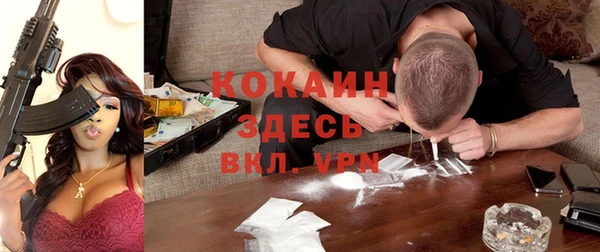 индика Богородск