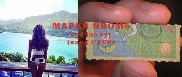 индика Богородск