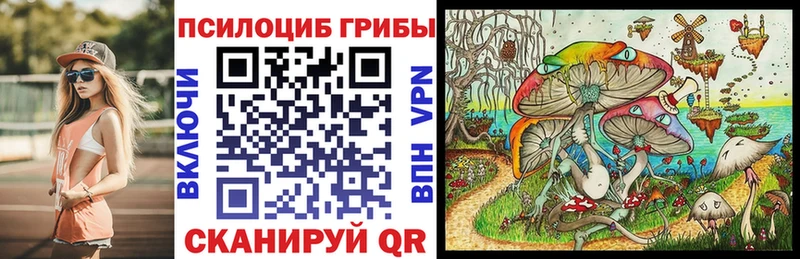 цена Кирово-Чепецк MEGA Галлюциногенные грибы Magic Shrooms